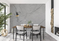 Minimalist Grey Marble Veining Wall Mural