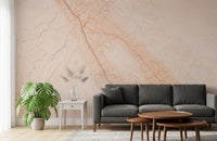 Soft Peach Marble Stone Texture Wall Mural