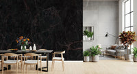 Midnight Noir Marble Slab Wall Mural