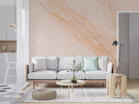 Soft Peach Marble Stone Wall Mural