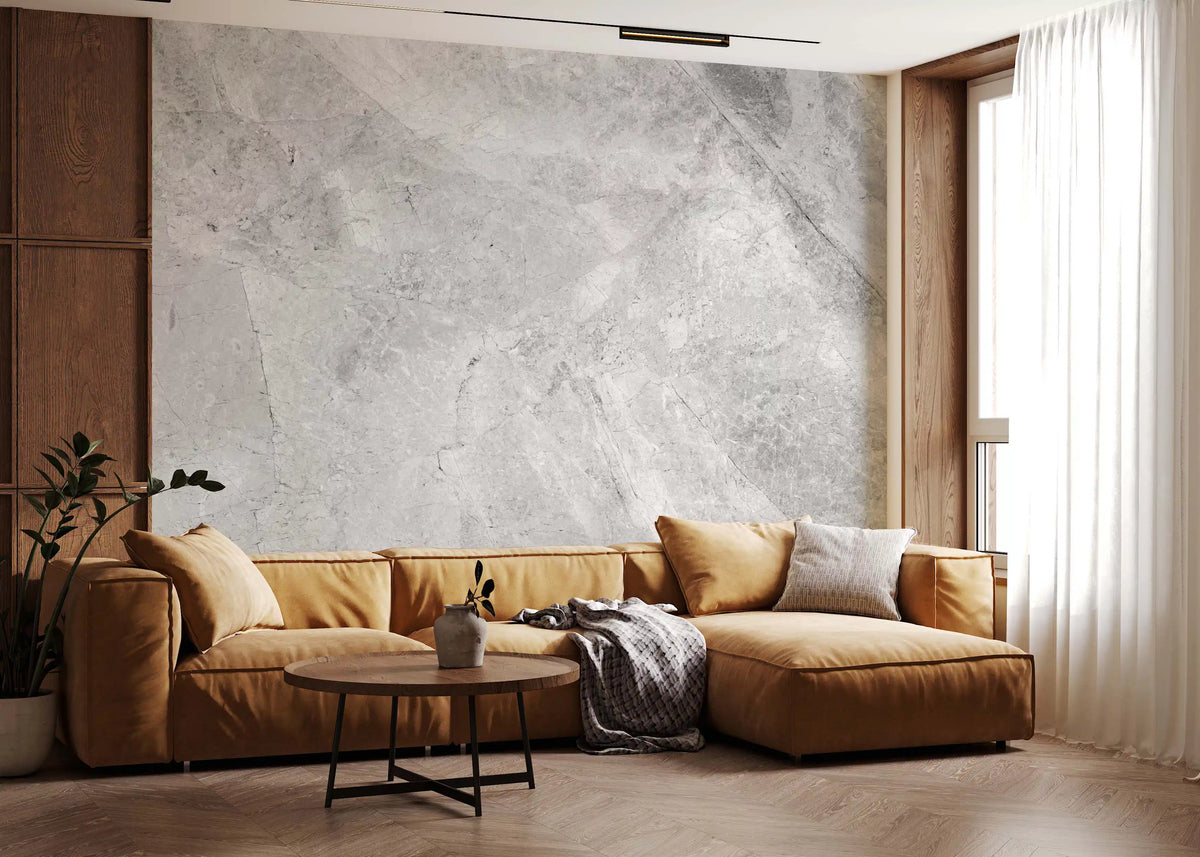 Cool Grey Marble Vein Slab Wall Mural