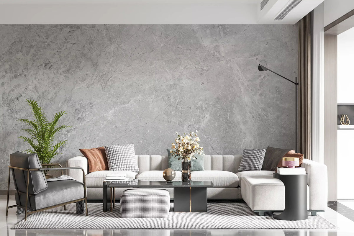 Classic Light Gray Stone Marble Wall Mural