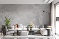 Classic Light Gray Stone Marble Wall Mural