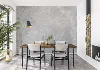 Classic Light Gray Stone Marble Wall Mural