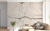 Cream and Charcoal Vein Marble Wall Mural