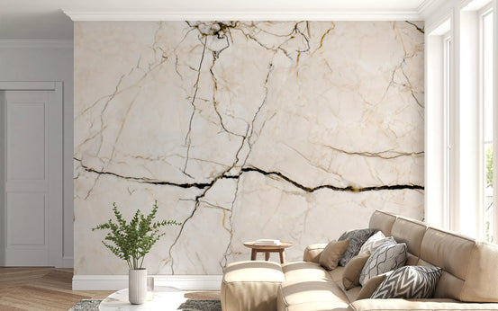 Marble wallpaper mural behind beige sofa with patterned cushions and potted plant GD14039