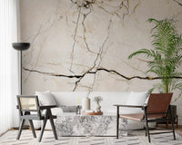 Cream and Charcoal Vein Marble Wall Mural