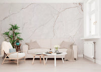 Subtle Rose Veined Marble Wall Mural