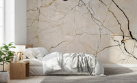 Cream and Black Marble Vein Wall Mural