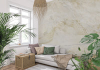 Cream and Gold Marble Vein Wall Mural