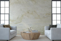 Cream and Gold Marble Vein Wall Mural