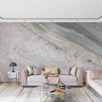 Cool Grey Marble Vein Surface Wall Mural