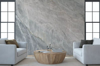Serene Grey Marble Slab Texture Wall Mural