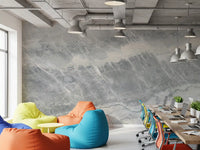 Cool Grey Marble Vein Wall Mural