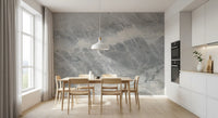 Cool Grey Marble Vein Wall Mural