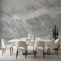 Cool Grey Marble Vein Wall Mural