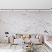 Blush Veined Marble Stone Wall Mural