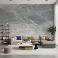 Cool Grey Marble Veined Stone Texture Wall Mural