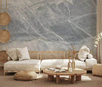 Cool Grey Marble Veined Stone Texture Wall Mural