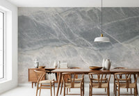 Cool Grey Marble Veined Stone Texture Wall Mural