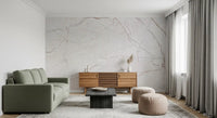 Soft Blush Marble Veins Wall Mural