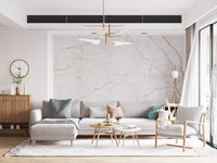 Soft Blush Marble Veins Wall Mural