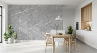 Classic Grey Marble Vein Wall Mural