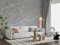 Classic Grey Marble Vein Wall Mural