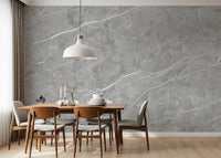 Classic Grey Marble Vein Wall Mural