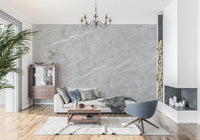 Classic Grey Marble Vein Wall Mural