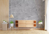 Cool Grey Stone Texture Wall Mural