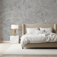Cool Grey Stone Texture Wall Mural