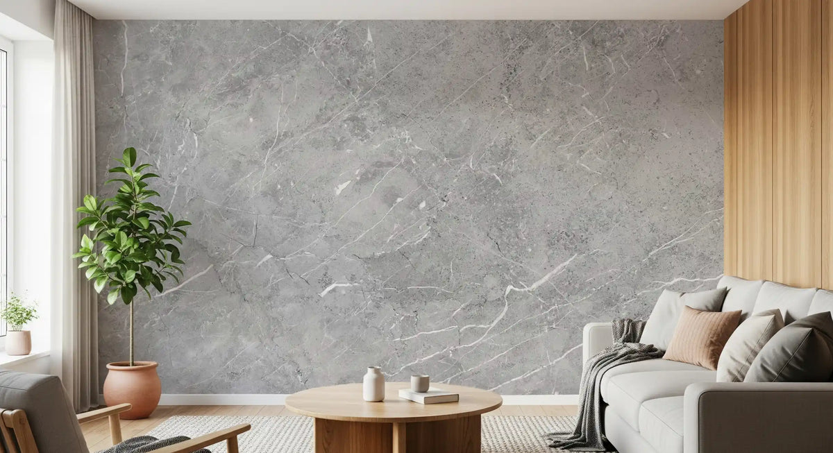 Minimalist Grey Marble Stone Texture Wall Mural