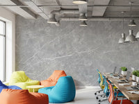 Classic Grey Veined Marble Wall Mural