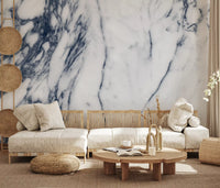 Monochrome Marble Vein Wall Mural