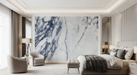 Monochrome Marble Vein Wall Mural