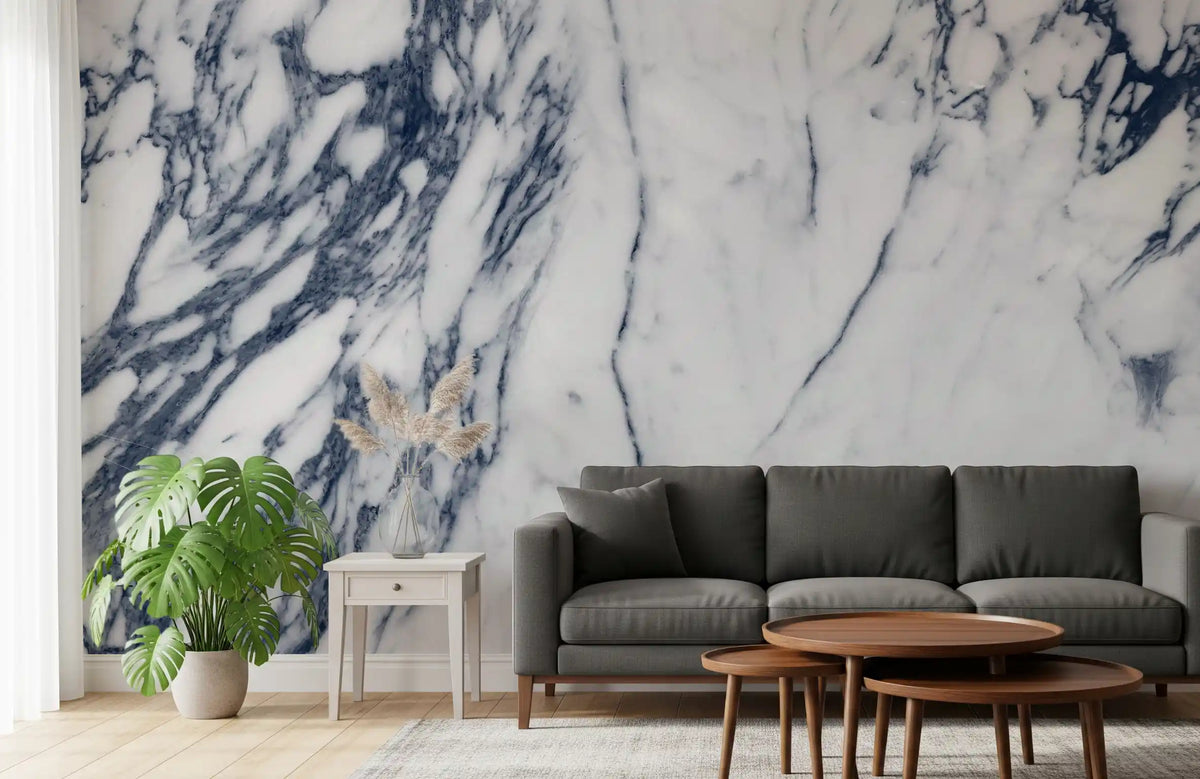 Monochrome Marble Vein Wall Mural