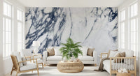Monochrome Marble Vein Wall Mural