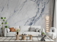 Classic White and Grey Marble Veins Wall Mural