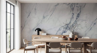 Classic White and Grey Marble Veins Wall Mural