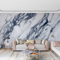 Monochrome Marble Vein Texture Wall Mural