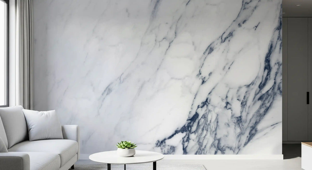 Classic Blue and White Marble Veining Wall Mural