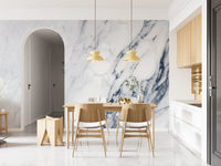 Classic Blue and White Marble Veining Wall Mural