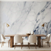 Classic Blue and White Marble Veining Wall Mural