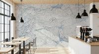 Cool Blue and White Marble Stone Wall Mural