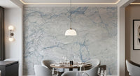Cool Blue and White Marble Stone Wall Mural