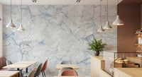 Cool Blue Marble Vein Wall Mural