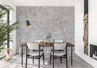 Cool Grey Marble Veined Slab Wall Mural