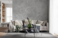 Minimalist Grey Stone Slab Texture Wall Mural