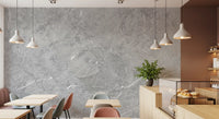 Minimalist Grey Stone Slab Texture Wall Mural